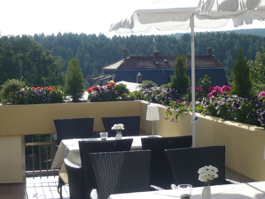 Hotel Falkenstein Falkenstein  Екстер'єр фото