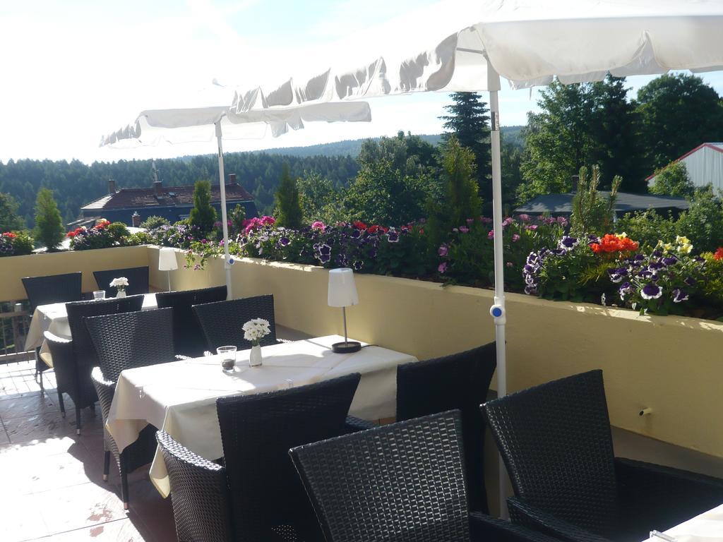 Hotel Falkenstein Falkenstein  Екстер'єр фото